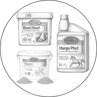 Image of a product from the category